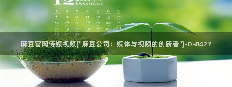 麻豆视影视传媒官网：麻豆官网传媒视频(\