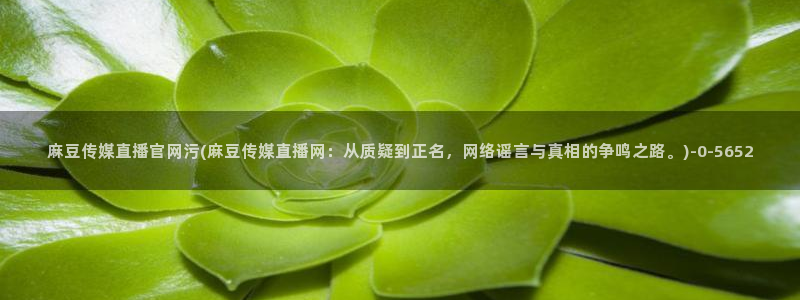 麻豆传媒直播官网首页：麻豆传媒直播官网污(麻豆传媒直播网：从质疑到正名，网络谣言与真相的争鸣之路。)