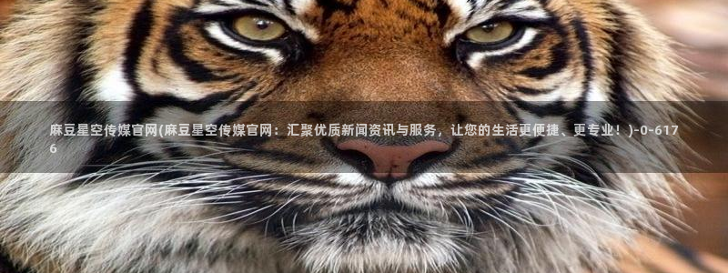 麻豆传媒官网社区：麻豆星空传媒官网(麻豆星空传媒官网：汇聚优质新闻资讯与服务，让您的生活更便捷、更专业！)