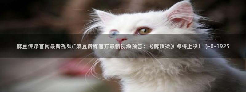 国产之光 麻豆传媒官网：麻豆传媒官网最新视频(\