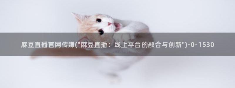 麻豆传媒官网地址破解：麻豆直播官网传媒(\