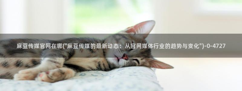 麻豆传媒破官网