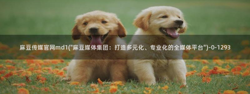 麻豆直播传媒管官网：麻豆传媒官网md1(\