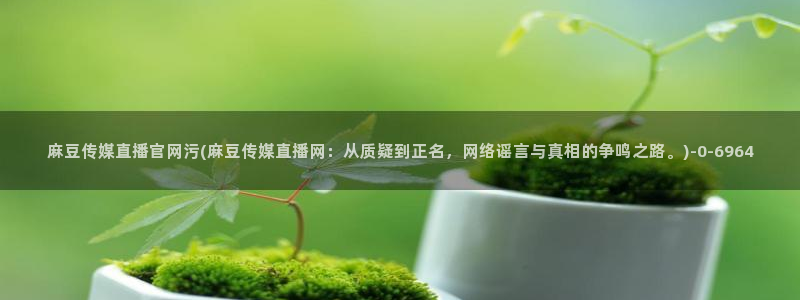 model麻豆传媒官网