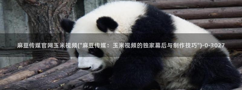 麻豆传媒官网14：麻豆传媒官网玉米视频(\