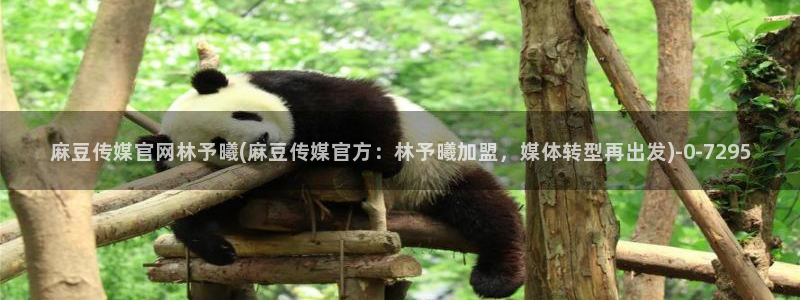 麻豆传媒直播官网app：麻豆传媒官网林予曦(麻豆传媒官方：林予曦加盟，媒体转型再出发)