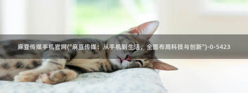 麻豆传媒ios官网：麻豆传媒手机官网(\
