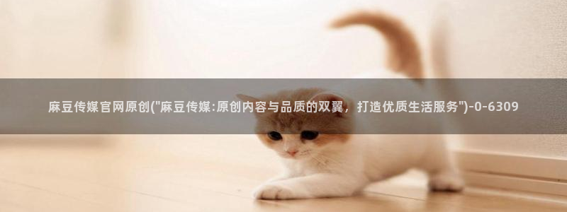 麻豆影视文化传媒官网黄：麻豆传媒官网原创(\