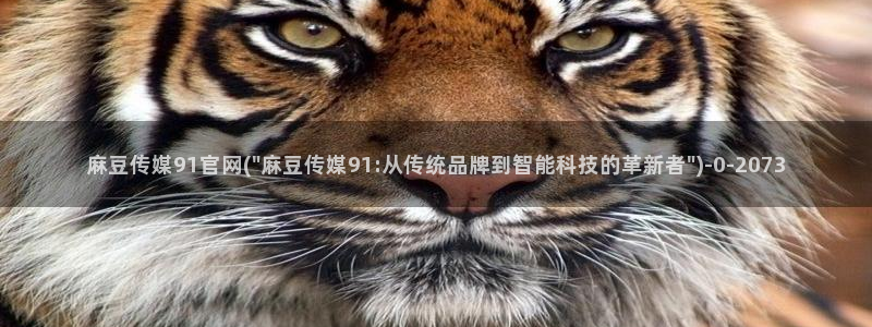 麻豆传媒官网2997577Z空间：麻豆传媒91官网(\