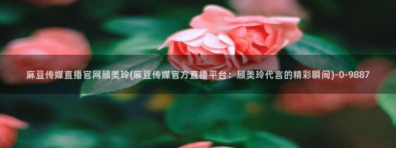 麻豆91传媒官网