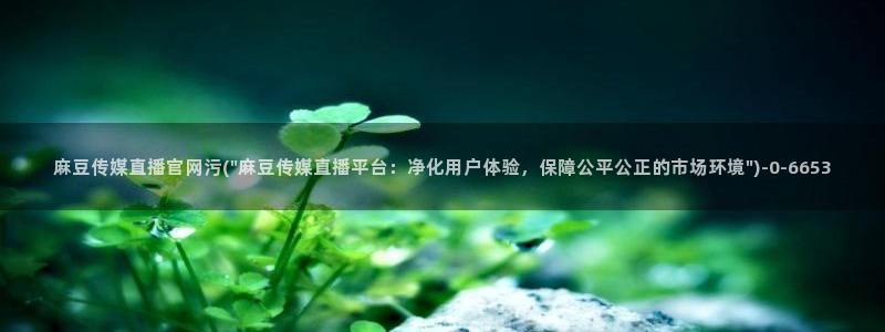麻豆传媒官网首