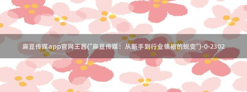 麻豆传媒直播官网免费