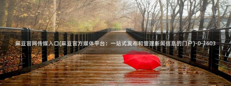 麻豆传媒网站官网：麻豆官网传媒入口(麻豆官方媒体平台：一站式发布和管理新闻信息的门户)