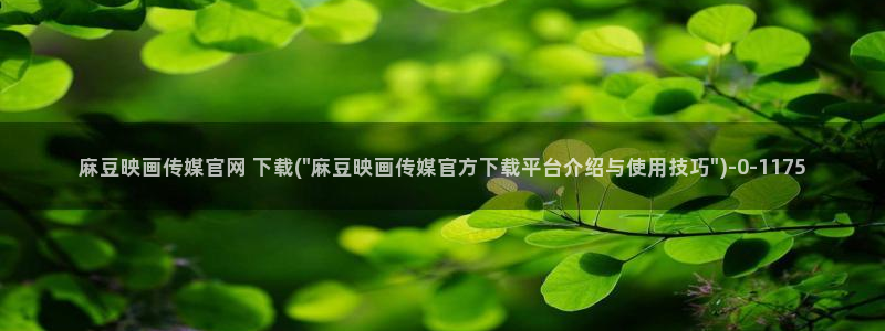 麻豆传媒下载官网版：麻豆映画传媒官网 下载(\