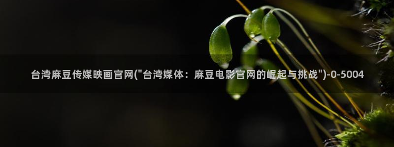麻豆映画传媒官网欢迎你：台湾麻豆传媒映画官网(\