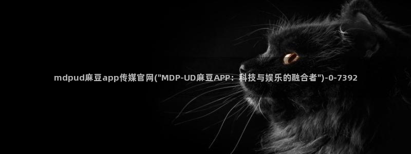 91麻豆精品传媒官网