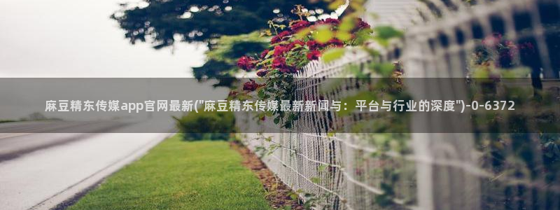 麻豆豆传媒官网