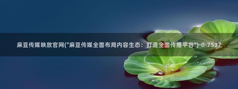 麻豆A 传媒官网进入