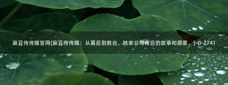 麻豆传媒影视官网